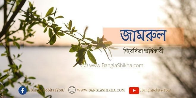 Bangla Kobita - jamrul by Nibedita Adhikary